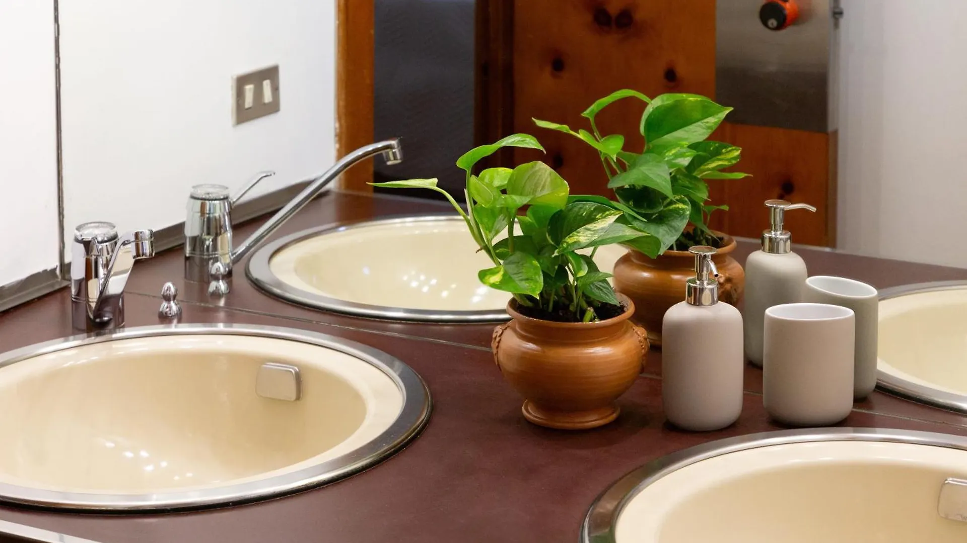 B&B Le Foglie D'Ulivo Bari Bed & Breakfast