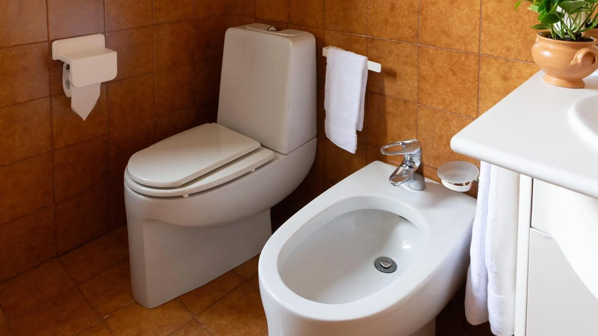 B&B Le Foglie D'Ulivo Bari