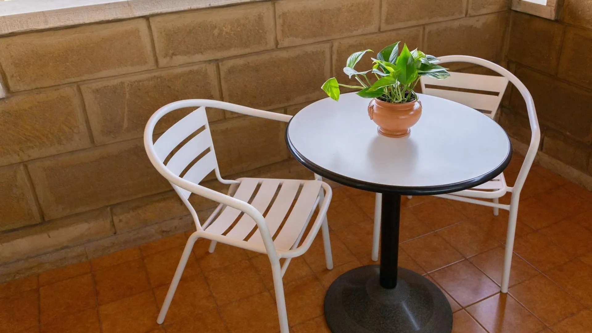 B&B Le Foglie D'Ulivo Bari 0*,