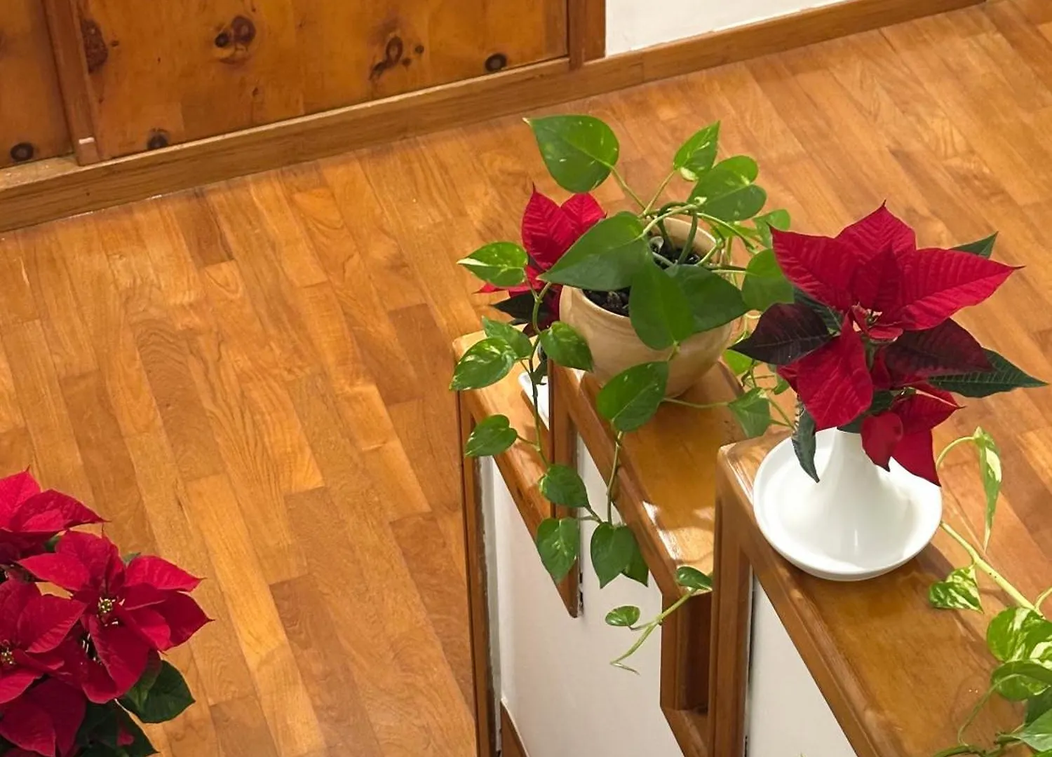 לינה וארוחת בוקר בארי B&B Le Foglie D'Ulivo איטליה